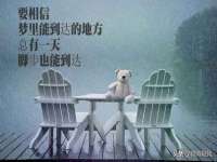 义乌市翊言电子商务商行