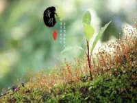 义乌市翊言电子商务商行