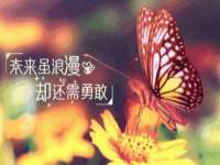 义乌市翊言电子商务商行