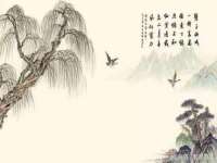义乌市翊言电子商务商行