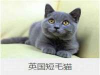 义乌市翊言电子商务商行