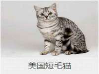 义乌市翊言电子商务商行