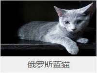 义乌市翊言电子商务商行