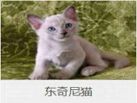 义乌市翊言电子商务商行