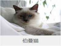 义乌市翊言电子商务商行