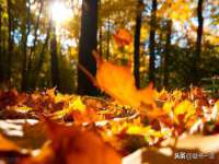 义乌市翊言电子商务商行