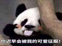 义乌市翊言电子商务商行
