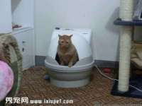 义乌市翊言电子商务商行