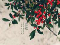 义乌市翊言电子商务商行
