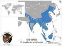 义乌市翊言电子商务商行