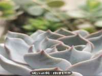义乌市翊言电子商务商行