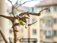 义乌市翊言电子商务商行