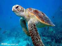 义乌市翊言电子商务商行