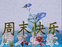 义乌市翊言电子商务商行