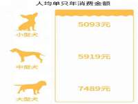 义乌市翊言电子商务商行