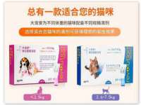 义乌市翊言电子商务商行