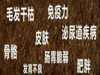义乌市翊言电子商务商行