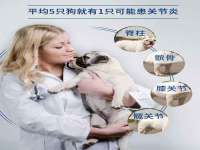义乌市翊言电子商务商行