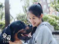 义乌市翊言电子商务商行