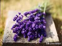 义乌市翊言电子商务商行