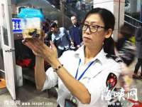 义乌市翊言电子商务商行