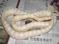 义乌市翊言电子商务商行