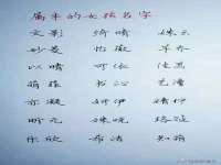 义乌市翊言电子商务商行